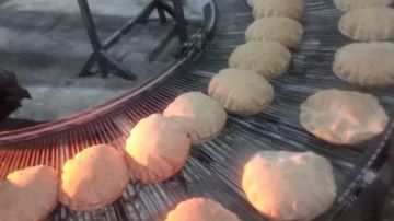 كفر الشيخ .. تحرير 11 محضرا تموينيا ضد المخابز المخالفة ببيلا كفر الشيخ .. تحرير 11 محضرا تموينيا ضد المخابز المخالفة ببيلا