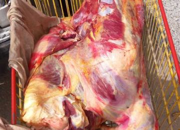 محافظ أسيوط: ضبط نصف طن لحوم غير صالحة للاستهلاك وحلوى أطفال منتهية الصلاحية