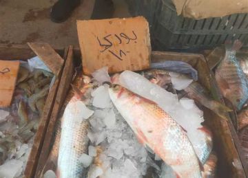 بتخفيضات 30 .. موعد ومكان سوق اليوم الواحد بمحافظة الدقهلية