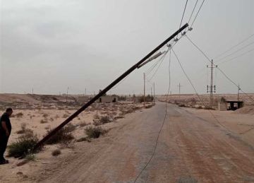 بسبب العاصفة الترابية.. سقوط أعمدة وانقطاع الكهرباء عن مناطق بوسط وشمال سيناء بسبب العاصفة الترابية.. سقوط أعمدة وانقطاع الكهرباء عن مناطق بوسط وشمال سيناء