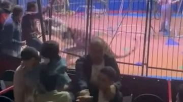 حبيت تتمنظر.. رد شقيق أنوسة مدربة الأسود على ضحية حادث سيرك طنطا