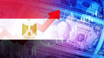 عاجل الإحصاء يعلن ارتفاع التضخم بمعدل 13.1 .. وهذه السلع تقود للصعود