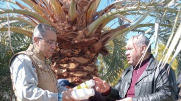 ندوات علمية ومدارس حقلية.. تنمية الثروة الحيوانية بمثلث حلايب والشلاتين