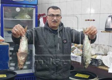  استعدادات شم النسيم 2025.. إقبال متزايد على الرنجة والسردين والبوري وتحركات في الأسعار