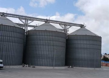 توجيهات رئاسية.. الحكومة توافق على إنشاء صوامع غلال في المنيا وكفر الشيخ