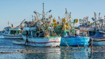 قرار سنوي يثير الجدل.. صيادو البحر الأحمر بين الحظر الإجباري وغياب البدائل