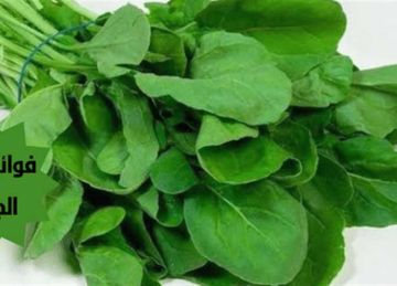 7 فوائد مذهلة لتناول الجرجير مع الطعام (تعرف عليها)