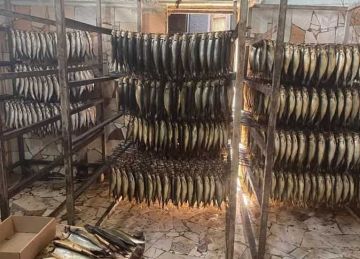 ضبط 16 طن لحوم وأسماك مجمدة ومدخنة مجهولة المصدر في حملات رقابية بالشرقية