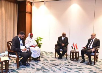 وزير العمل ونظيره السوداني يناقشان تبادل الخبرات في مجالات التدريب المهني