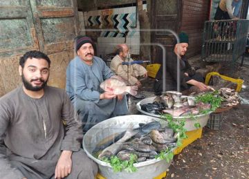  البلطي بـ110 .. أسعار السمك اليوم الجمعة في أسواق أسيوط
