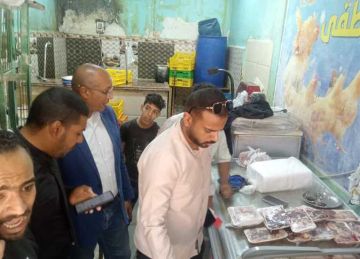ضبط وإعدام أسماك مملحة وأغذية غير صالحة للاستهلاك الآدمي في أسوان