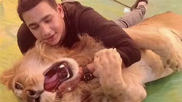 ضحية نمر طنطا يتعرض لاعتداء داخل مستشفى جامعة طنطا.. ما القصة؟