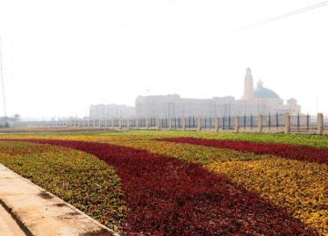 رفع كفاءة الممشى السياحي وطريق 517 بالمنطقة الصناعية فى 6 أكتوبر