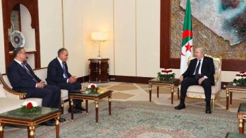 وزير الخارجية يسلم رسالة خطية من الرئيس السيسي إلى الرئيس الجزائري