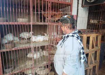 تعرف على أسعار اللحوم والفراخ في أسواق أسيوط اليوم الجمعة