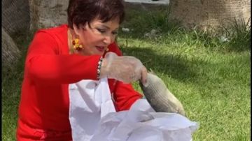 الفنانة لبلبة تحتفل بـ عيد شم النسيم بطريقة عفوية.. شاهد ماذا فعلت!