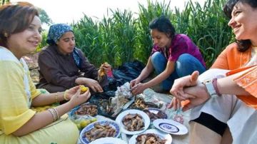 تعرف على الإجازات الرسمية في شهر مايو 2025 للموظفين تفاصيل