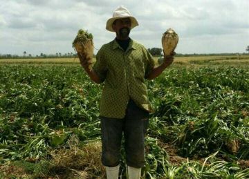 فرحة بين مزارعي الإسكندرية بحصاد الشمندر .. و الزراعة تبدأ جني 8419 فدانا (صور) فرحة بين مزارعي الإسكندرية بحصاد الشمندر .. و الزراعة تبدأ جني 8419 فدانا (صور)