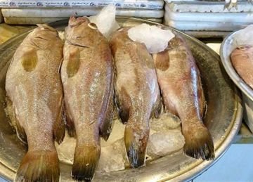 البلطي بـ87 جنيها.. أسعار الأسماك بسوق العبور اليوم الثلاثاء البلطي بـ87 جنيها.. أسعار الأسماك بسوق العبور اليوم الثلاثاء