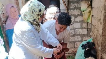 قافلة بيطرية مجانية لـ قرية إكراش بديرب نجم في الشرقية