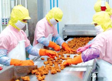 تقرير رسمي: واردات أمريكا من الغذاء 208 مليارات دولار.. ومصر لديها فرصة مضاعفة صادراتها