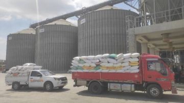 المواقع التخزينية بالشرقية تستقبل 595 طنا من القمح