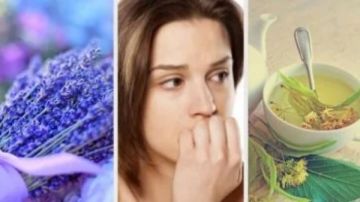 أعشاب طبيعية للتخلص من التوتر.. راحة من قلب الطبيعة