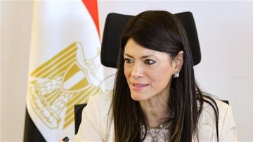 التخطيط: البنك الأفريقي يعتزم استثمار 300 مليون دولار في مصر خلال 2025