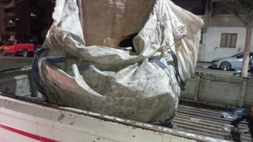 رئيس مدينة بورفؤاد : استمرار حملات مجابهة ظاهرة فارزي القمامة بنطاق المدينة