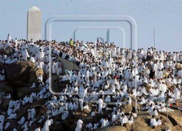 ما حكم الحاج الذى لم يستطع الوقوف على عرفة بسبب مرضه؟.. عضوة بـ مركز الأزهر توضح