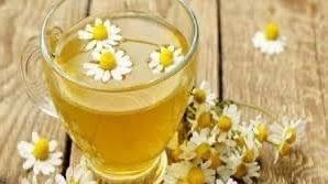 بالرغم من فوائده .. مخاطر غير متوقعة تهددك عند تناول البابونج اعرف تفاصيلها بالرغم من فوائده .. مخاطر غير متوقعة تهددك عند تناول البابونج اعرف تفاصيلها