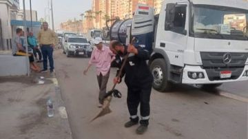 محافظ الغربية: نعمل على تحقيق نقلة نوعية في مستوى النظافة وتحقيق رضا المواطن محافظ الغربية: نعمل على تحقيق نقلة نوعية في مستوى النظافة وتحقيق رضا المواطن