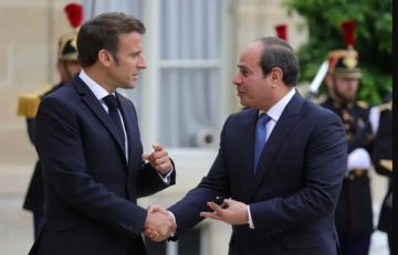 برلماني: زيارة ماكرون تحلحل القضية الفلسطينية وتعكس دور مصر المحوري بالمنطقة برلماني: زيارة ماكرون تحلحل القضية الفلسطينية وتعكس دور مصر المحوري بالمنطقة