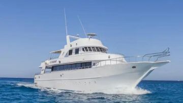 إنقاذ 14 شخصا بعد اصطدام مركب سياحي بالشعاب المرجانية في خليج العقبة