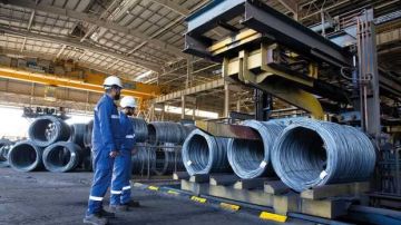 برلمانية: التحول الصناعي هو الحل لتحقيق التنمية المستدامة