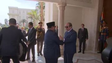 نائب: زيارة الرئيس الإندونيسي لمصر رسالة قوية تعكس مكانتها الدولية والإقليمية