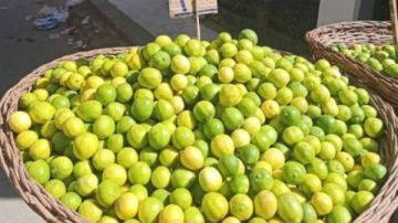 أسباب ارتفاع أسعار الليمون بالأسواق وهذا موعد الانخفاض أسباب ارتفاع أسعار الليمون بالأسواق وهذا موعد الانخفاض