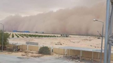 إبراهيم عيسى: مصر نجت من عاصفة ترابية بفضل الاستعداد والتخطيط