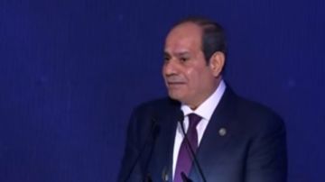 جهاز مستقبل مصر: رؤية الرئيس الواعية تصنع الفارق في القطاع الزراعي