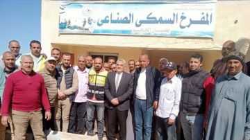 جهاز حماية وتنمية البحيرات: نعمل على فع كفاءة المفرخات والمزارع السمكية