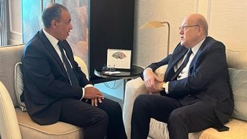 وزير الخارجية يستقبل رئيس وزراء لبنان السابق في أبو ظبي