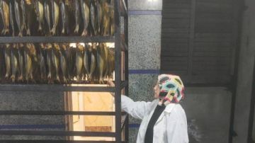 ضبط 11 طن ونصف لحوم ودواجن وأسماك مجمدة ومدخنة مخالفة بالشرقية ضبط 11 طن ونصف لحوم ودواجن وأسماك مجمدة ومدخنة مخالفة بالشرقية