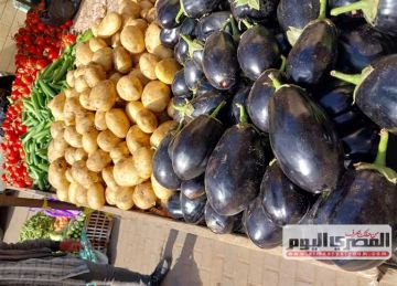 الليمون بـ140.. أسعار الخضروات والفاكهة داخل أسواق دمياط الليمون بـ140.. أسعار الخضروات والفاكهة داخل أسواق دمياط