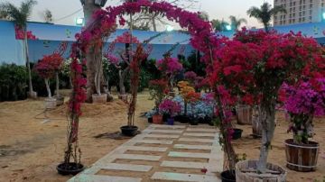 الزراعة تتابع أخر الاستعدادات لانطلاق معرض زهور الربيع صور الزراعة تتابع أخر الاستعدادات لانطلاق معرض زهور الربيع صور