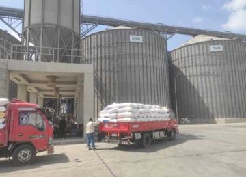 المواقع التخزينية تستقبل 594 طن من الذهب الأصفر بمراكز ومدن الشرقية