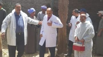 حملة تحصين المواشى تواصل التطعيم ضد الحمى القلاعية والوادي المتصدع بقنا