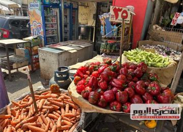 كيلو البامية بـ 120 جنيها.. أسعار الخضروات في أسواق مطروح اليوم الأحد 6 إبريل 2025