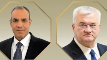 وزير الخارجية: مصر تدعم الوساطة الأمريكية الخاصة بالأزمة الأوكرانية