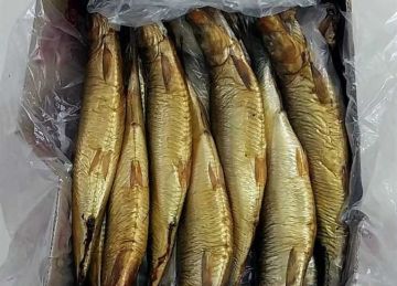 لتناول الرنجة والفسيخ بأمان في شم النسيم.. 7 نصائح لمرضى الضغط