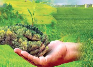 معلومات الوزراء : الزراعة العضوية استثمار نحو مستقبل غذائى مستدام معلومات الوزراء : الزراعة العضوية استثمار نحو مستقبل غذائى مستدام